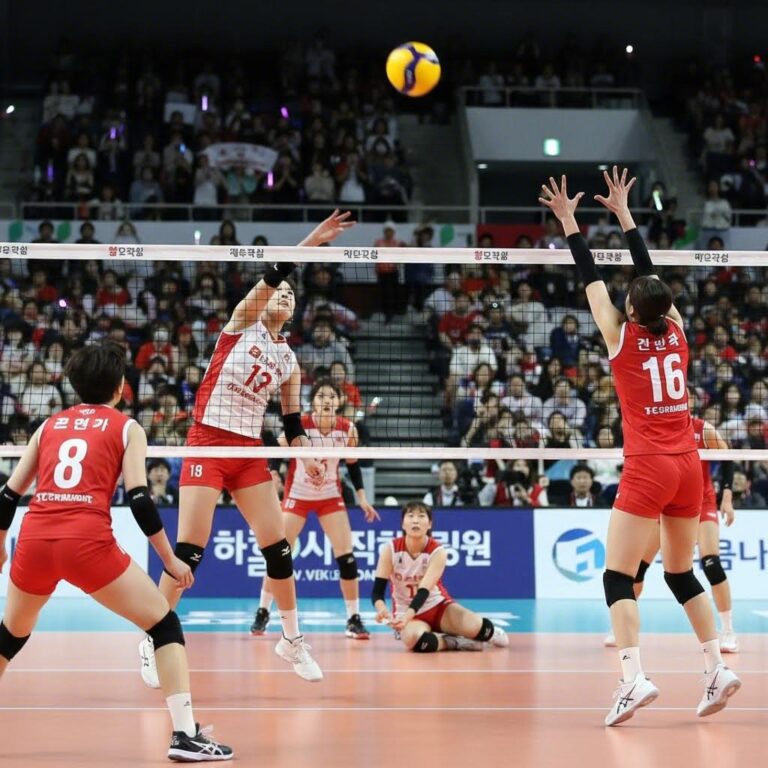 V리그 여자배구 경기에서 플레이하는 선수들의 모습