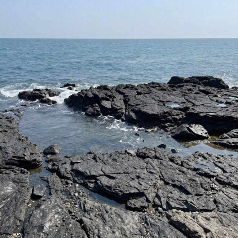 조수 간만의 차로 드러난 무창포 신비의 바닷길 풍경